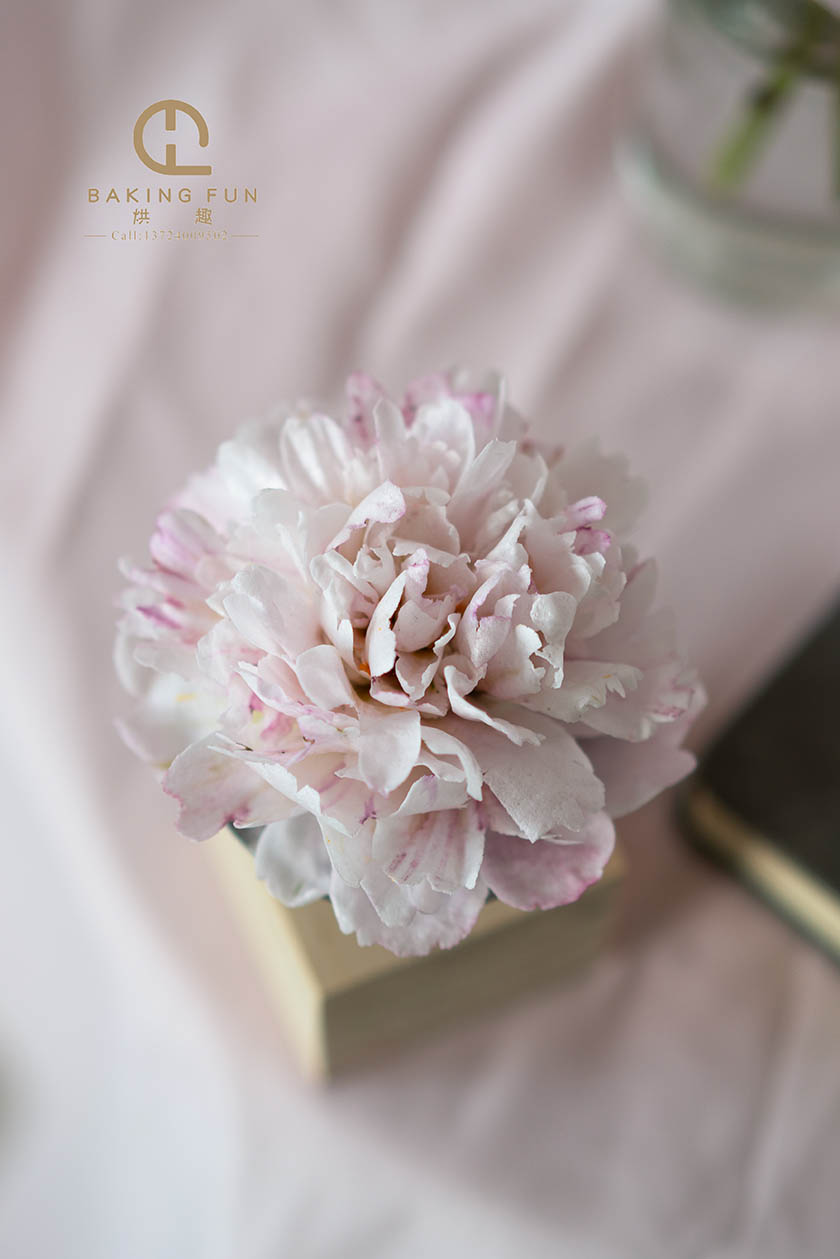 蛋糕裱花培訓(xùn)